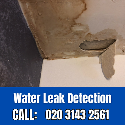 Expert Water Leak Detection Services in Waterloo | Waterloo Leak Detection